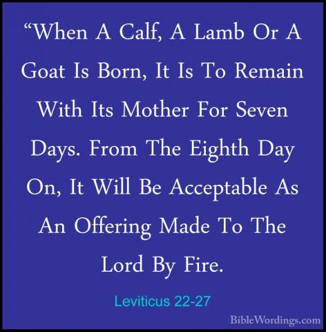 Leviticus 22-27 - "When A Calf, A Lamb Or A Goat Is Born, It Is T"When A Calf, A Lamb Or A Goat Is Born, It Is To Remain With Its Mother For Seven Days. From The Eighth Day On, It Will Be Acceptable As An Offering Made To The Lord By Fire. 