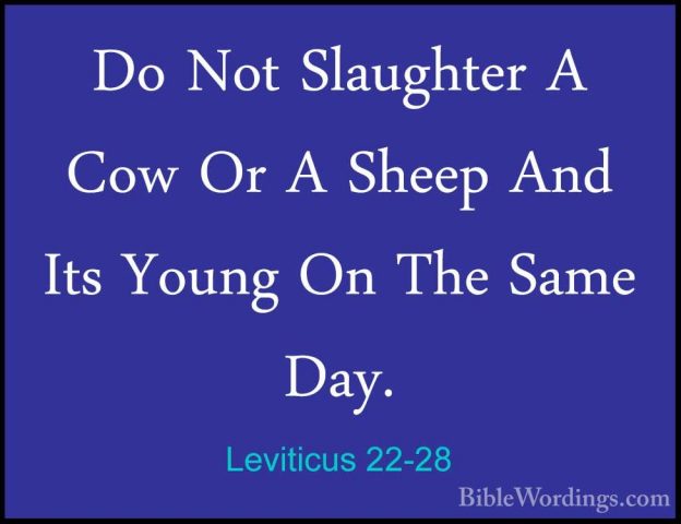 Leviticus 22-28 - Do Not Slaughter A Cow Or A Sheep And Its YoungDo Not Slaughter A Cow Or A Sheep And Its Young On The Same Day. 