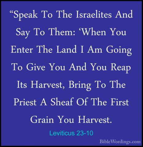 Leviticus 23-10 - "Speak To The Israelites And Say To Them: 'When"Speak To The Israelites And Say To Them: 'When You Enter The Land I Am Going To Give You And You Reap Its Harvest, Bring To The Priest A Sheaf Of The First Grain You Harvest. 