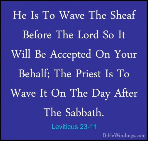 Leviticus 23-11 - He Is To Wave The Sheaf Before The Lord So It WHe Is To Wave The Sheaf Before The Lord So It Will Be Accepted On Your Behalf; The Priest Is To Wave It On The Day After The Sabbath. 