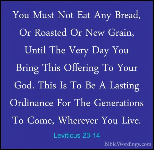 Leviticus 23-14 - You Must Not Eat Any Bread, Or Roasted Or New GYou Must Not Eat Any Bread, Or Roasted Or New Grain, Until The Very Day You Bring This Offering To Your God. This Is To Be A Lasting Ordinance For The Generations To Come, Wherever You Live. 
