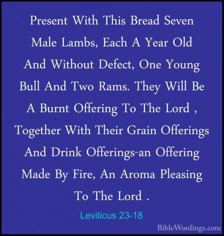 Leviticus 23-18 - Present With This Bread Seven Male Lambs, EachPresent With This Bread Seven Male Lambs, Each A Year Old And Without Defect, One Young Bull And Two Rams. They Will Be A Burnt Offering To The Lord , Together With Their Grain Offerings And Drink Offerings-an Offering Made By Fire, An Aroma Pleasing To The Lord . 