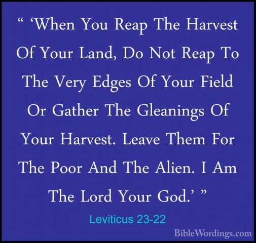 Leviticus 23-22 - " 'When You Reap The Harvest Of Your Land, Do N" 'When You Reap The Harvest Of Your Land, Do Not Reap To The Very Edges Of Your Field Or Gather The Gleanings Of Your Harvest. Leave Them For The Poor And The Alien. I Am The Lord Your God.' " 