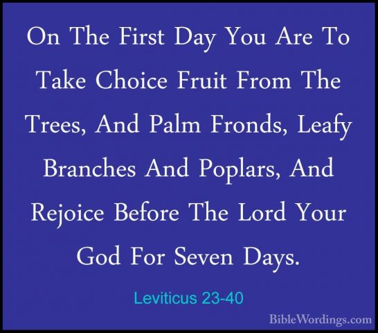 Leviticus 23-40 - On The First Day You Are To Take Choice Fruit FOn The First Day You Are To Take Choice Fruit From The Trees, And Palm Fronds, Leafy Branches And Poplars, And Rejoice Before The Lord Your God For Seven Days. 