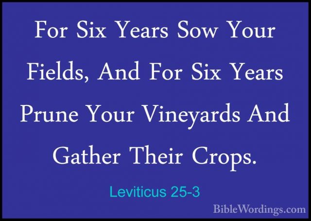 Leviticus 25-3 - For Six Years Sow Your Fields, And For Six YearsFor Six Years Sow Your Fields, And For Six Years Prune Your Vineyards And Gather Their Crops. 