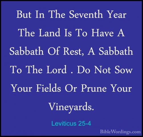 Leviticus 25-4 - But In The Seventh Year The Land Is To Have A SaBut In The Seventh Year The Land Is To Have A Sabbath Of Rest, A Sabbath To The Lord . Do Not Sow Your Fields Or Prune Your Vineyards. 