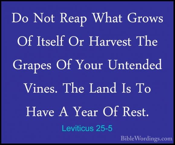 Leviticus 25-5 - Do Not Reap What Grows Of Itself Or Harvest TheDo Not Reap What Grows Of Itself Or Harvest The Grapes Of Your Untended Vines. The Land Is To Have A Year Of Rest. 