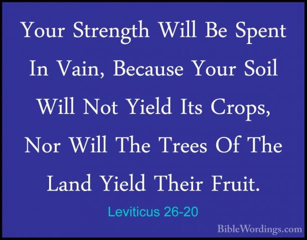 Leviticus 26-20 - Your Strength Will Be Spent In Vain, Because YoYour Strength Will Be Spent In Vain, Because Your Soil Will Not Yield Its Crops, Nor Will The Trees Of The Land Yield Their Fruit. 