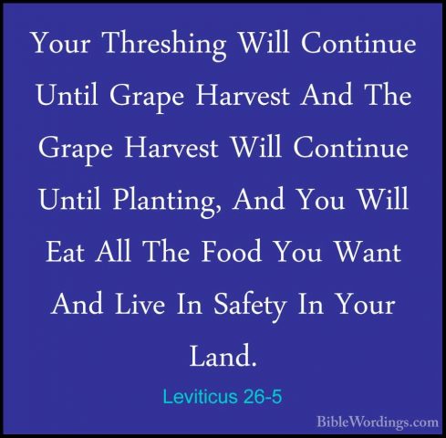 Leviticus 26-5 - Your Threshing Will Continue Until Grape HarvestYour Threshing Will Continue Until Grape Harvest And The Grape Harvest Will Continue Until Planting, And You Will Eat All The Food You Want And Live In Safety In Your Land. 