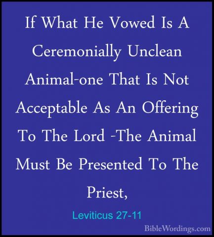 Leviticus 27-11 - If What He Vowed Is A Ceremonially Unclean AnimIf What He Vowed Is A Ceremonially Unclean Animal-one That Is Not Acceptable As An Offering To The Lord -The Animal Must Be Presented To The Priest, 
