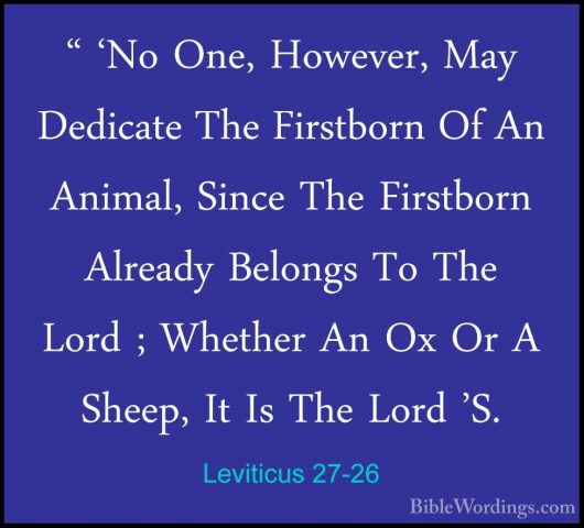 Leviticus 27-26 - " 'No One, However, May Dedicate The Firstborn" 'No One, However, May Dedicate The Firstborn Of An Animal, Since The Firstborn Already Belongs To The Lord ; Whether An Ox Or A Sheep, It Is The Lord 'S. 