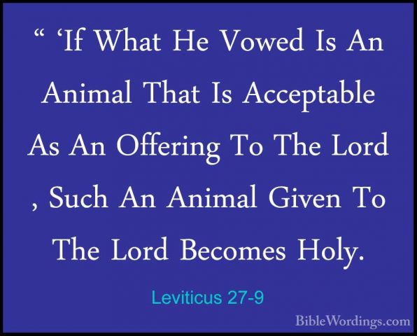Leviticus 27-9 - " 'If What He Vowed Is An Animal That Is Accepta" 'If What He Vowed Is An Animal That Is Acceptable As An Offering To The Lord , Such An Animal Given To The Lord Becomes Holy. 