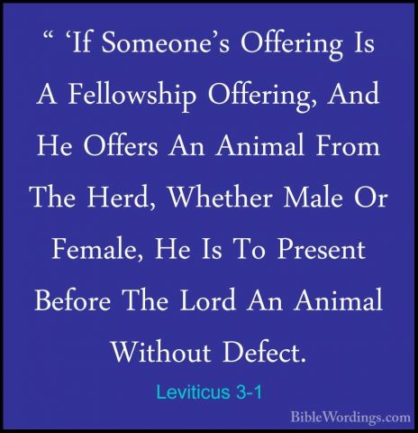 Leviticus 3-1 - " 'If Someone's Offering Is A Fellowship Offering" 'If Someone's Offering Is A Fellowship Offering, And He Offers An Animal From The Herd, Whether Male Or Female, He Is To Present Before The Lord An Animal Without Defect. 
