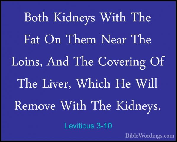 Leviticus 3-10 - Both Kidneys With The Fat On Them Near The LoinsBoth Kidneys With The Fat On Them Near The Loins, And The Covering Of The Liver, Which He Will Remove With The Kidneys. 