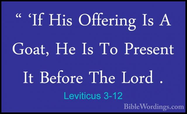 Leviticus 3-12 - " 'If His Offering Is A Goat, He Is To Present I" 'If His Offering Is A Goat, He Is To Present It Before The Lord . 