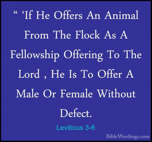 Leviticus 3-6 - " 'If He Offers An Animal From The Flock As A Fel" 'If He Offers An Animal From The Flock As A Fellowship Offering To The Lord , He Is To Offer A Male Or Female Without Defect. 