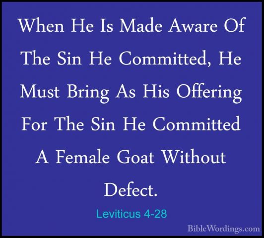 Leviticus 4-28 - When He Is Made Aware Of The Sin He Committed, HWhen He Is Made Aware Of The Sin He Committed, He Must Bring As His Offering For The Sin He Committed A Female Goat Without Defect. 