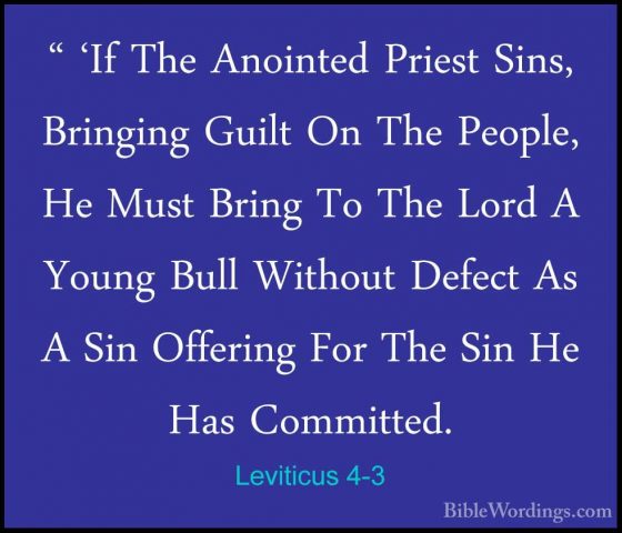 Leviticus 4-3 - " 'If The Anointed Priest Sins, Bringing Guilt On" 'If The Anointed Priest Sins, Bringing Guilt On The People, He Must Bring To The Lord A Young Bull Without Defect As A Sin Offering For The Sin He Has Committed. 