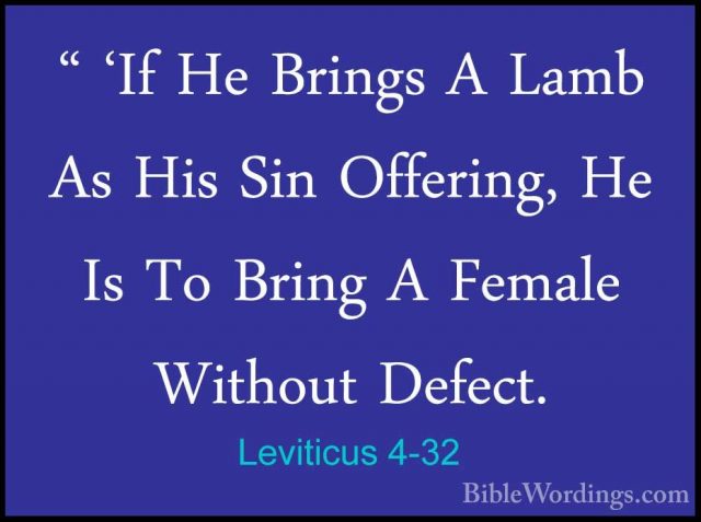 Leviticus 4-32 - " 'If He Brings A Lamb As His Sin Offering, He I" 'If He Brings A Lamb As His Sin Offering, He Is To Bring A Female Without Defect. 