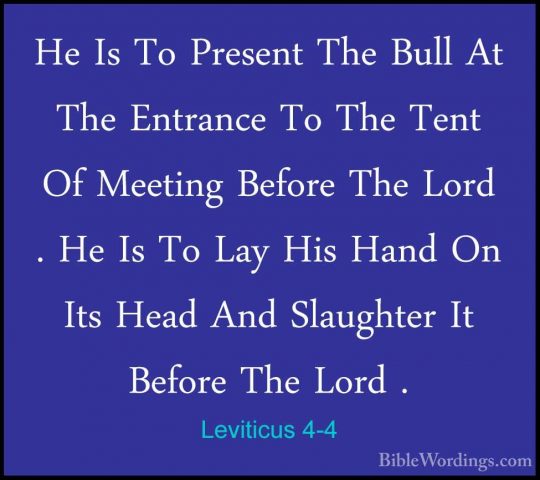 Leviticus 4-4 - He Is To Present The Bull At The Entrance To TheHe Is To Present The Bull At The Entrance To The Tent Of Meeting Before The Lord . He Is To Lay His Hand On Its Head And Slaughter It Before The Lord . 