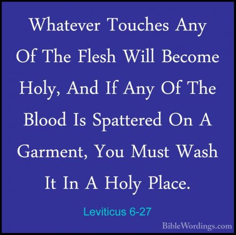 Leviticus 6-27 - Whatever Touches Any Of The Flesh Will Become HoWhatever Touches Any Of The Flesh Will Become Holy, And If Any Of The Blood Is Spattered On A Garment, You Must Wash It In A Holy Place. 