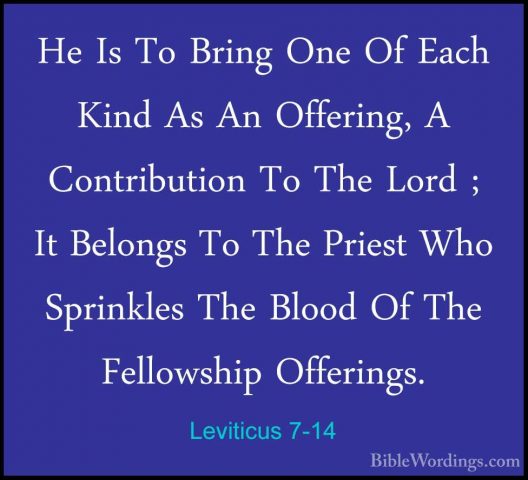Leviticus 7-14 - He Is To Bring One Of Each Kind As An Offering,He Is To Bring One Of Each Kind As An Offering, A Contribution To The Lord ; It Belongs To The Priest Who Sprinkles The Blood Of The Fellowship Offerings. 