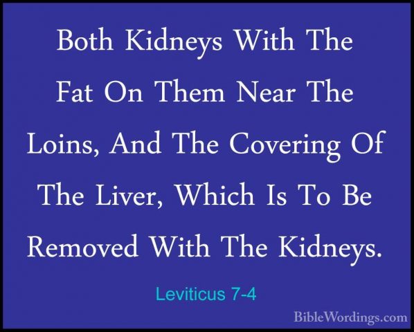 Leviticus 7-4 - Both Kidneys With The Fat On Them Near The Loins,Both Kidneys With The Fat On Them Near The Loins, And The Covering Of The Liver, Which Is To Be Removed With The Kidneys. 