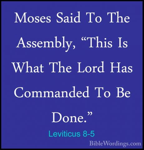 Leviticus 8-5 - Moses Said To The Assembly, "This Is What The LorMoses Said To The Assembly, "This Is What The Lord Has Commanded To Be Done." 