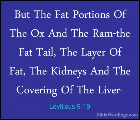 Leviticus 9-19 - But The Fat Portions Of The Ox And The Ram-the FBut The Fat Portions Of The Ox And The Ram-the Fat Tail, The Layer Of Fat, The Kidneys And The Covering Of The Liver- 
