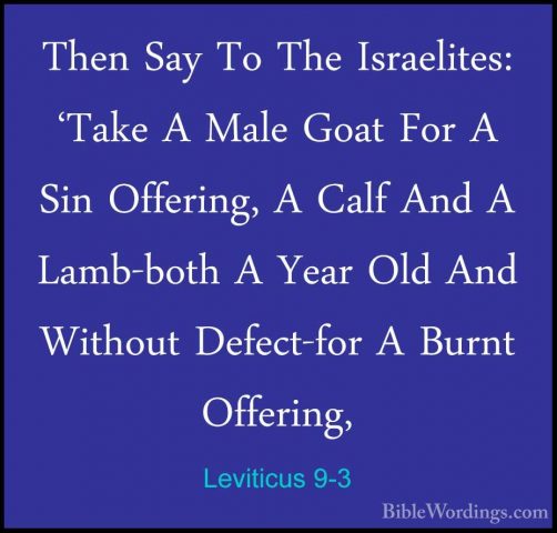 Leviticus 9-3 - Then Say To The Israelites: 'Take A Male Goat ForThen Say To The Israelites: 'Take A Male Goat For A Sin Offering, A Calf And A Lamb-both A Year Old And Without Defect-for A Burnt Offering, 