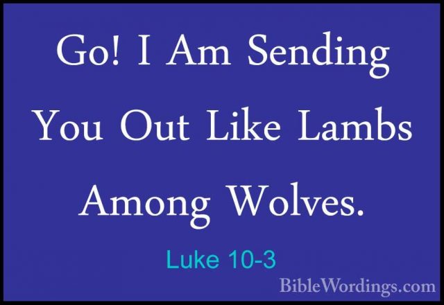 Luke 10-3 - Go! I Am Sending You Out Like Lambs Among Wolves.Go! I Am Sending You Out Like Lambs Among Wolves. 