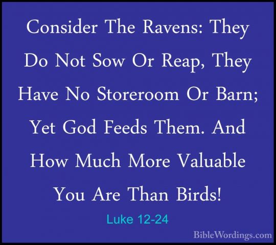 Luke 12-24 - Consider The Ravens: They Do Not Sow Or Reap, They HConsider The Ravens: They Do Not Sow Or Reap, They Have No Storeroom Or Barn; Yet God Feeds Them. And How Much More Valuable You Are Than Birds! 