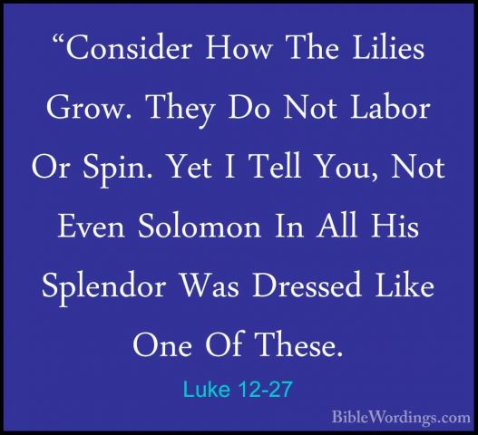 Luke 12-27 - "Consider How The Lilies Grow. They Do Not Labor Or"Consider How The Lilies Grow. They Do Not Labor Or Spin. Yet I Tell You, Not Even Solomon In All His Splendor Was Dressed Like One Of These. 