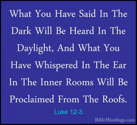 Luke 12-3 - What You Have Said In The Dark Will Be Heard In The DWhat You Have Said In The Dark Will Be Heard In The Daylight, And What You Have Whispered In The Ear In The Inner Rooms Will Be Proclaimed From The Roofs. 