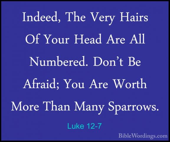 Luke 12-7 - Indeed, The Very Hairs Of Your Head Are All Numbered.Indeed, The Very Hairs Of Your Head Are All Numbered. Don't Be Afraid; You Are Worth More Than Many Sparrows. 