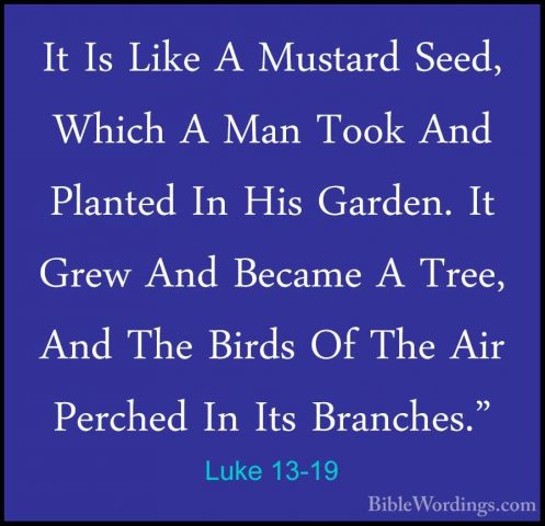 Luke 13-19 - It Is Like A Mustard Seed, Which A Man Took And PlanIt Is Like A Mustard Seed, Which A Man Took And Planted In His Garden. It Grew And Became A Tree, And The Birds Of The Air Perched In Its Branches." 