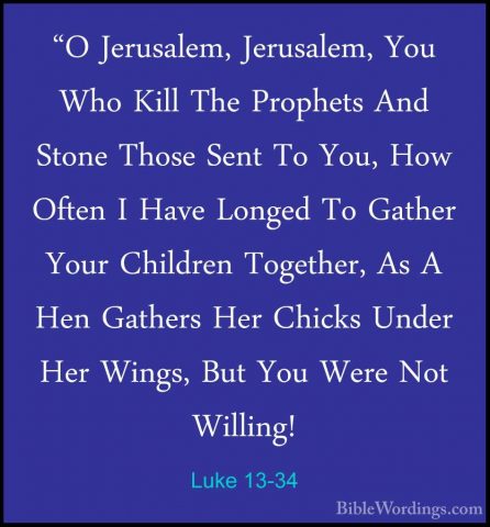Luke 13-34 - "O Jerusalem, Jerusalem, You Who Kill The Prophets A"O Jerusalem, Jerusalem, You Who Kill The Prophets And Stone Those Sent To You, How Often I Have Longed To Gather Your Children Together, As A Hen Gathers Her Chicks Under Her Wings, But You Were Not Willing! 