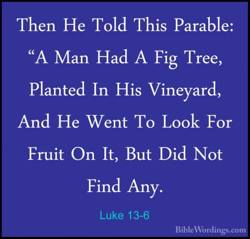 Luke 13-6 - Then He Told This Parable: "A Man Had A Fig Tree, PlaThen He Told This Parable: "A Man Had A Fig Tree, Planted In His Vineyard, And He Went To Look For Fruit On It, But Did Not Find Any. 