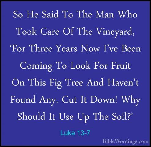 Luke 13-7 - So He Said To The Man Who Took Care Of The Vineyard,So He Said To The Man Who Took Care Of The Vineyard, 'For Three Years Now I've Been Coming To Look For Fruit On This Fig Tree And Haven't Found Any. Cut It Down! Why Should It Use Up The Soil?' 