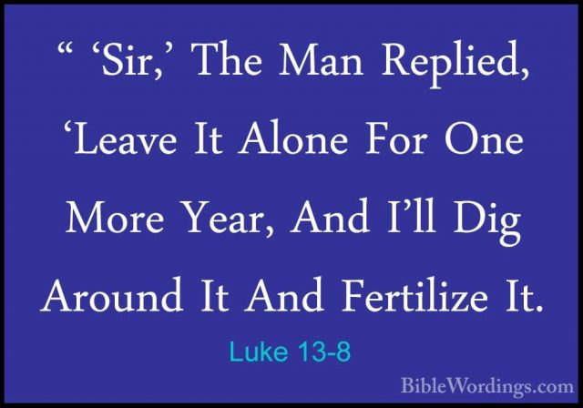 Luke 13-8 - " 'Sir,' The Man Replied, 'Leave It Alone For One Mor" 'Sir,' The Man Replied, 'Leave It Alone For One More Year, And I'll Dig Around It And Fertilize It. 