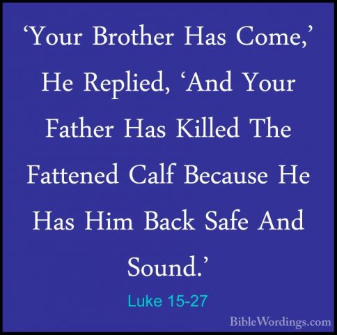 Luke 15-27 - 'Your Brother Has Come,' He Replied, 'And Your Fathe'Your Brother Has Come,' He Replied, 'And Your Father Has Killed The Fattened Calf Because He Has Him Back Safe And Sound.' 