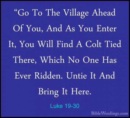 Luke 19-30 - "Go To The Village Ahead Of You, And As You Enter It"Go To The Village Ahead Of You, And As You Enter It, You Will Find A Colt Tied There, Which No One Has Ever Ridden. Untie It And Bring It Here. 