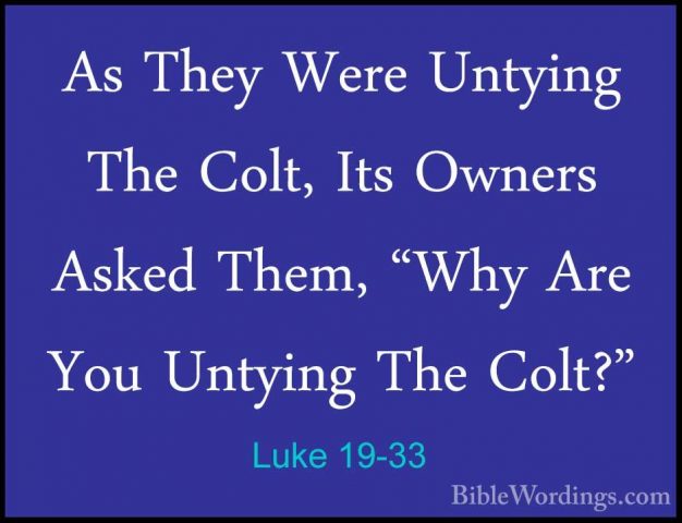 Luke 19-33 - As They Were Untying The Colt, Its Owners Asked ThemAs They Were Untying The Colt, Its Owners Asked Them, "Why Are You Untying The Colt?" 