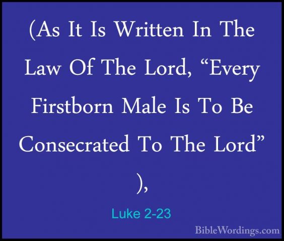 Luke 2-23 - (As It Is Written In The Law Of The Lord, "Every Firs(As It Is Written In The Law Of The Lord, "Every Firstborn Male Is To Be Consecrated To The Lord" ), 