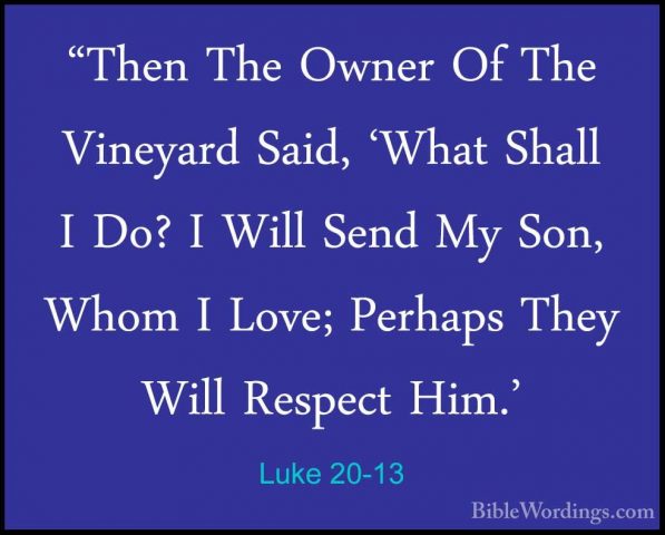 Luke 20-13 - "Then The Owner Of The Vineyard Said, 'What Shall I"Then The Owner Of The Vineyard Said, 'What Shall I Do? I Will Send My Son, Whom I Love; Perhaps They Will Respect Him.' 