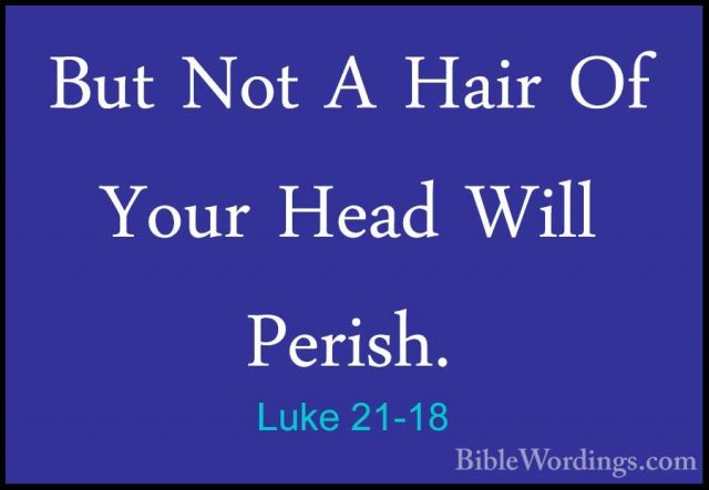 Luke 21-18 - But Not A Hair Of Your Head Will Perish.But Not A Hair Of Your Head Will Perish. 
