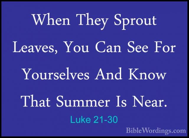 Luke 21-30 - When They Sprout Leaves, You Can See For YourselvesWhen They Sprout Leaves, You Can See For Yourselves And Know That Summer Is Near. 