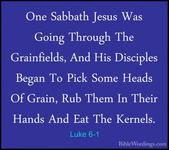 Luke 6-1 - One Sabbath Jesus Was Going Through The Grainfields, AOne Sabbath Jesus Was Going Through The Grainfields, And His Disciples Began To Pick Some Heads Of Grain, Rub Them In Their Hands And Eat The Kernels. 