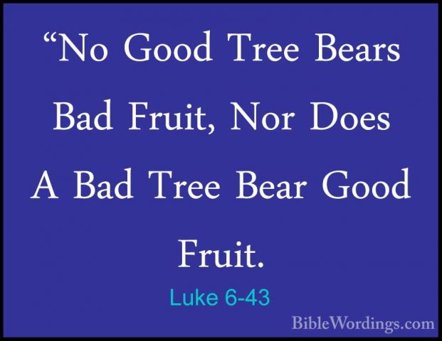 Luke 6-43 - "No Good Tree Bears Bad Fruit, Nor Does A Bad Tree Be"No Good Tree Bears Bad Fruit, Nor Does A Bad Tree Bear Good Fruit. 