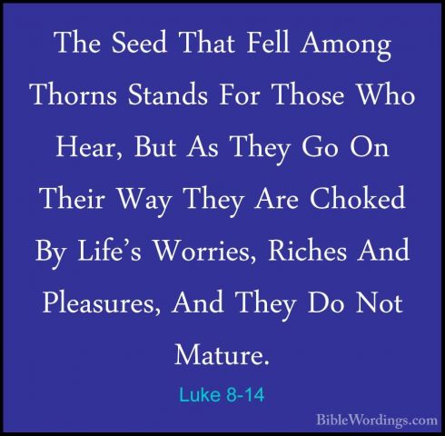 Luke 8-14 - The Seed That Fell Among Thorns Stands For Those WhoThe Seed That Fell Among Thorns Stands For Those Who Hear, But As They Go On Their Way They Are Choked By Life's Worries, Riches And Pleasures, And They Do Not Mature. 